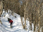 /Ski/2009/Images/1653/Photo 094Icon.jpg